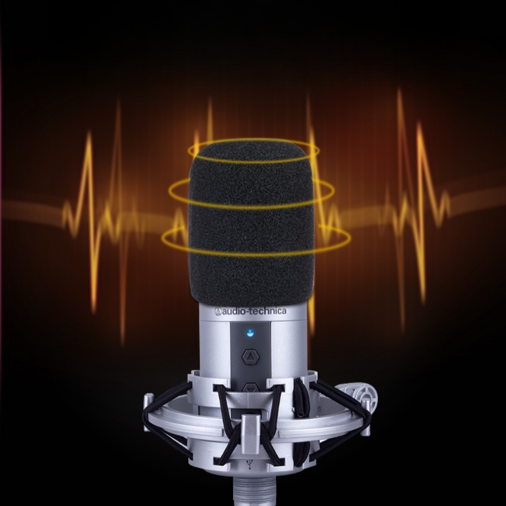2PCS AT2020 Microphone Windscr - Recording Pop Filter recensione e prezzo