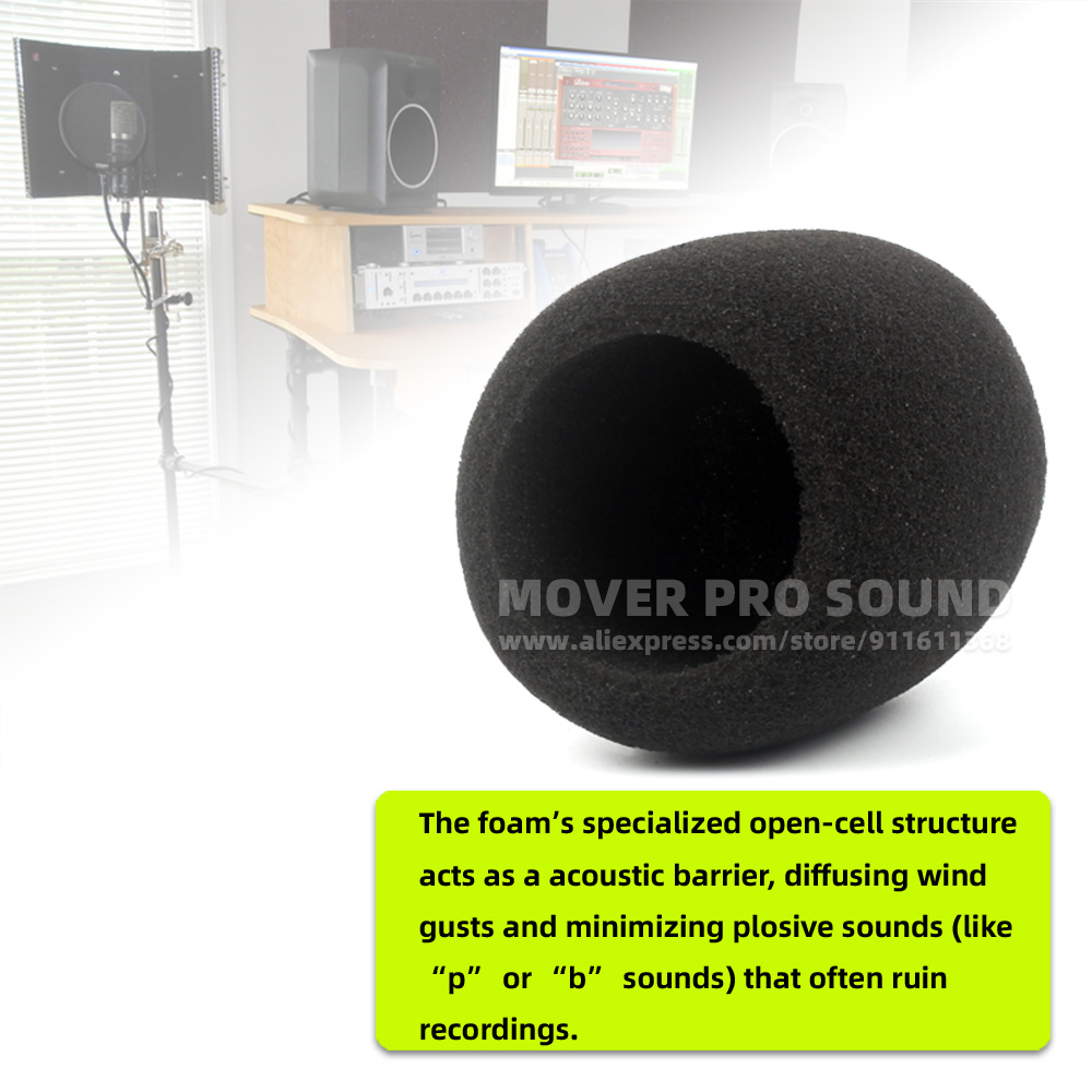 SnapVox Compatible With ZOOM H - Recording Pop Filter recensione e prezzo