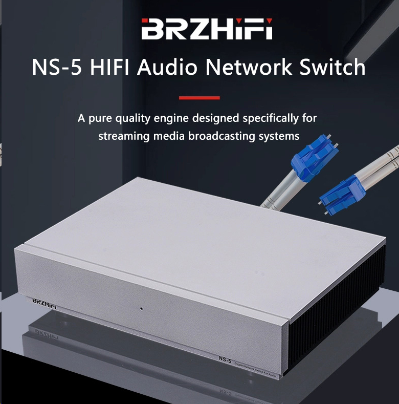 BRZHIFI Audio Network Switch N - Enhance Audio Music Quality recensione e prezzo