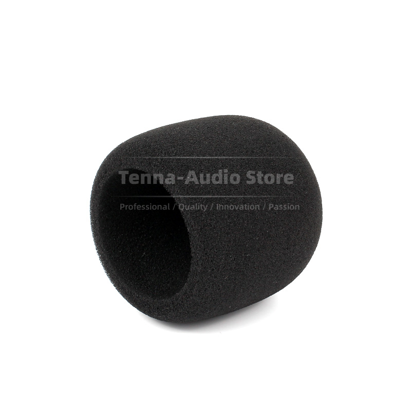Replacement For SONY PCM D10 P - Recording Pop Filter recensione e prezzo