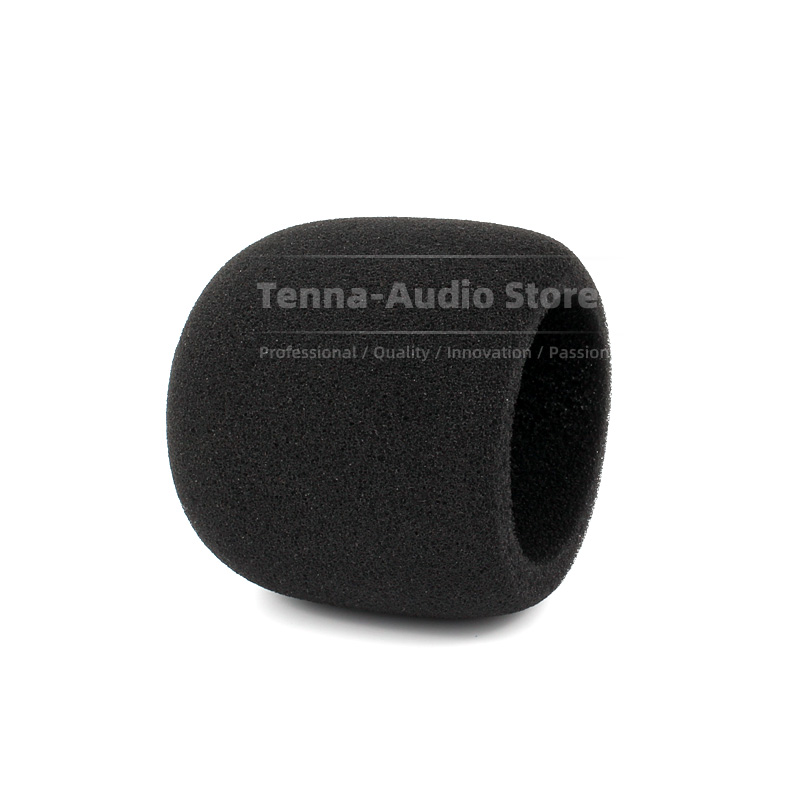Replacement For SONY PCM D10 P - Recording Pop Filter recensione e prezzo