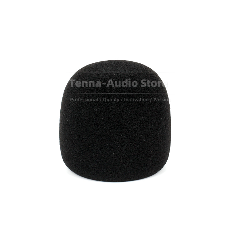 Replacement For SONY PCM D10 P - Recording Pop Filter recensione e prezzo