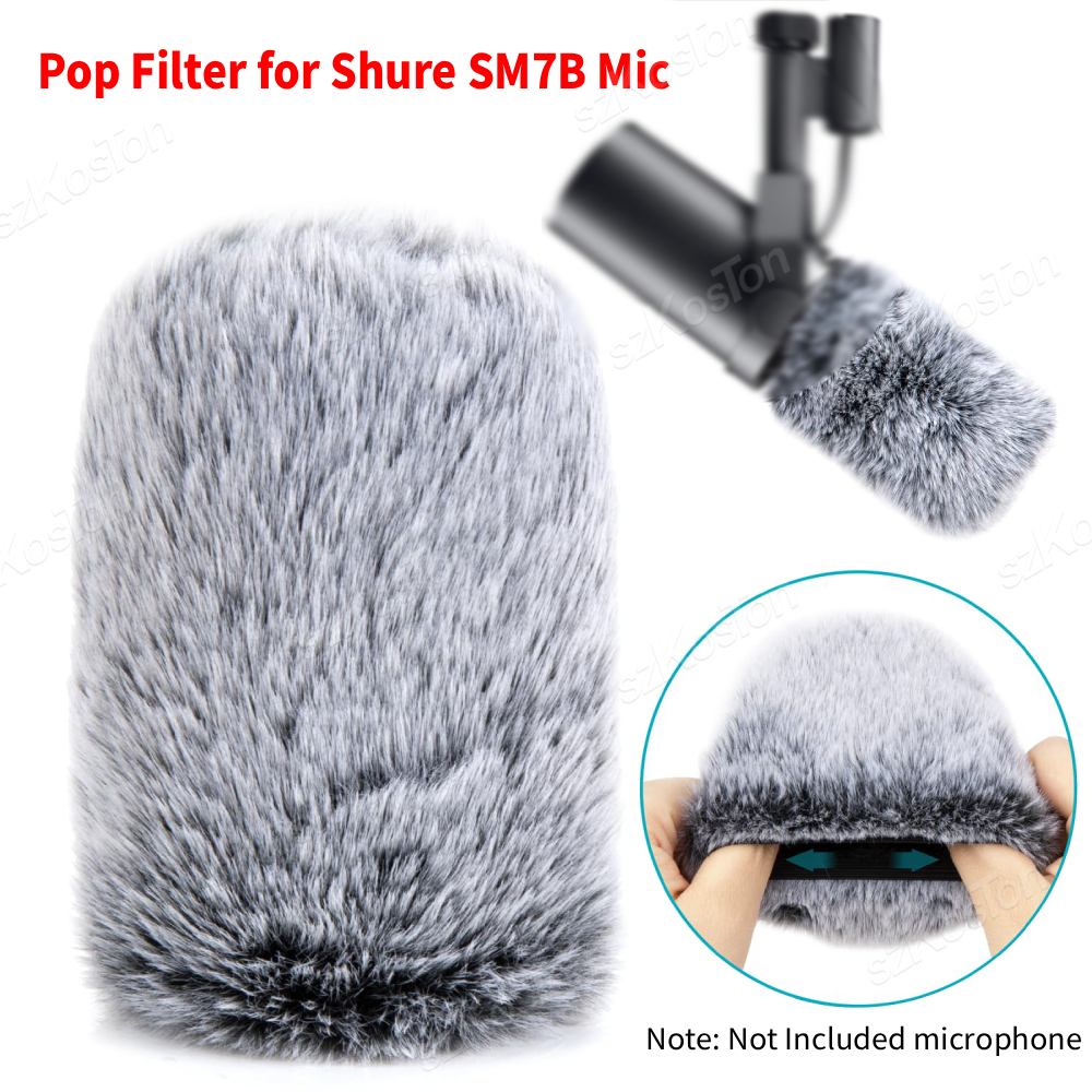 Noise Reduction Pop Filter for - Recording Pop Filter recensione e prezzo