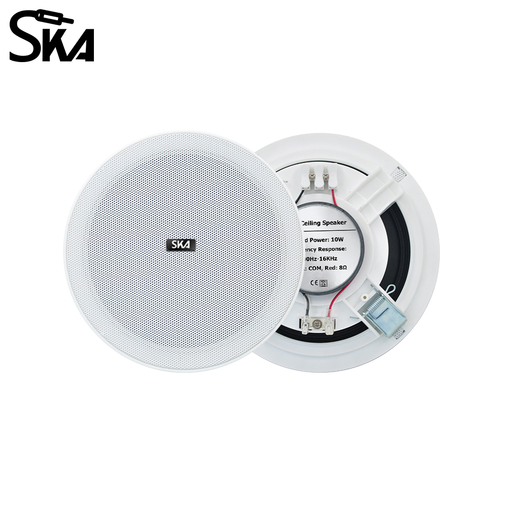 6.5-inch 20W， 8ΩDual cone spea - Audio Music Store recensione e prezzo