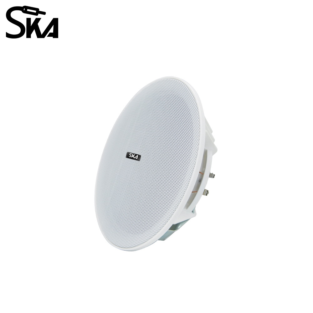6.5-inch 20W， 8ΩDual cone spea - Audio Music Store recensione e prezzo