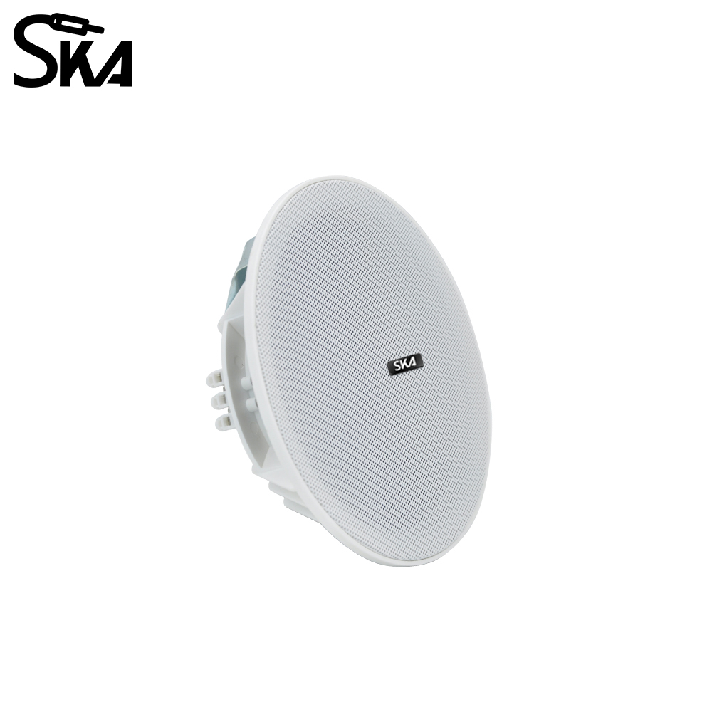 6.5-inch 20W， 8ΩDual cone spea - Audio Music Store recensione e prezzo