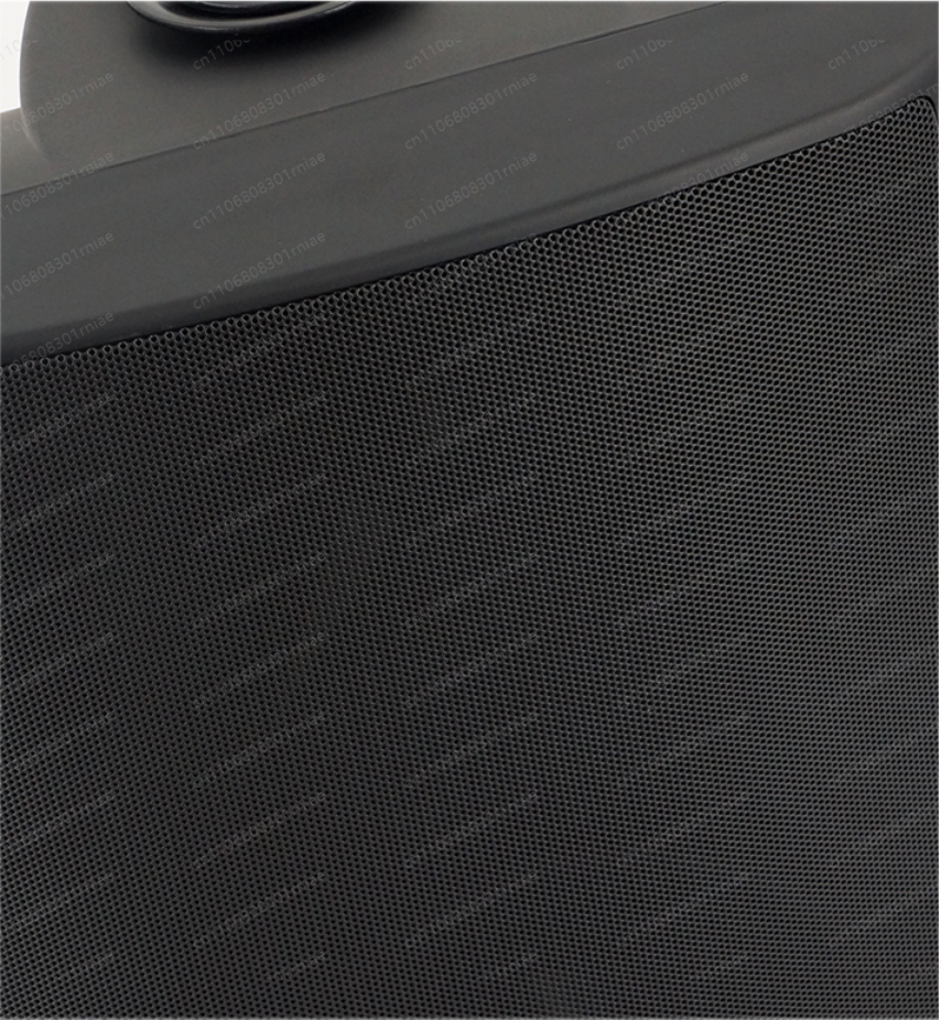 Hot-selling wall-mounted audio - Audio Music Store recensione e prezzo
