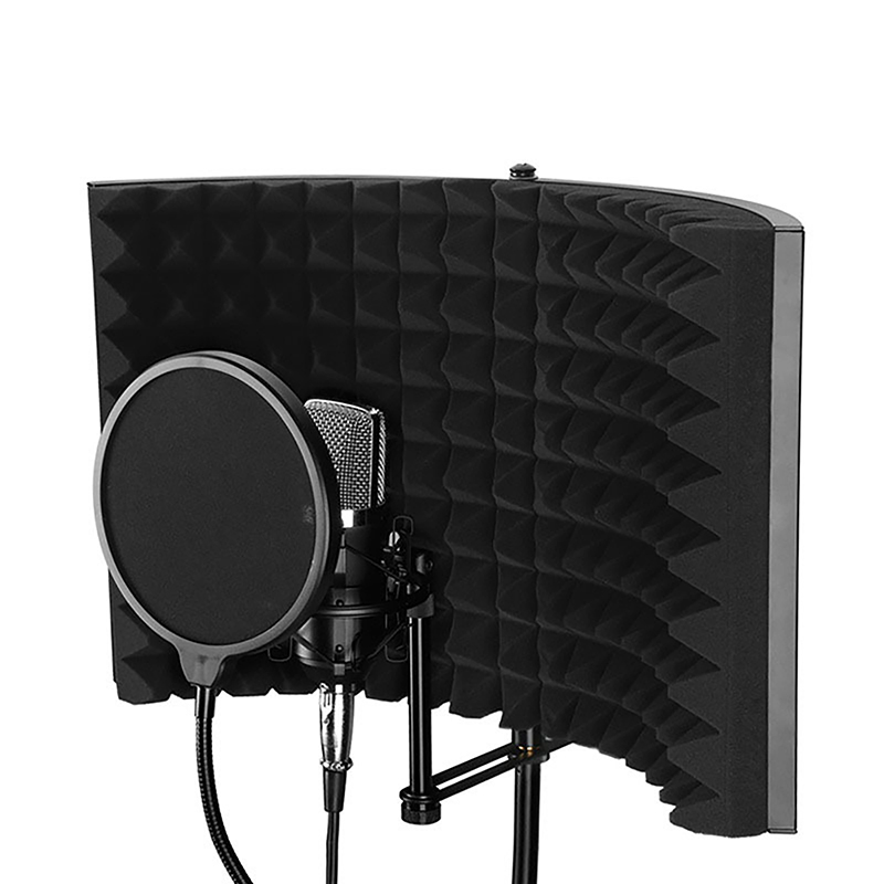 Mic Shield For Speaking Record - Recording Pop Filter recensione e prezzo