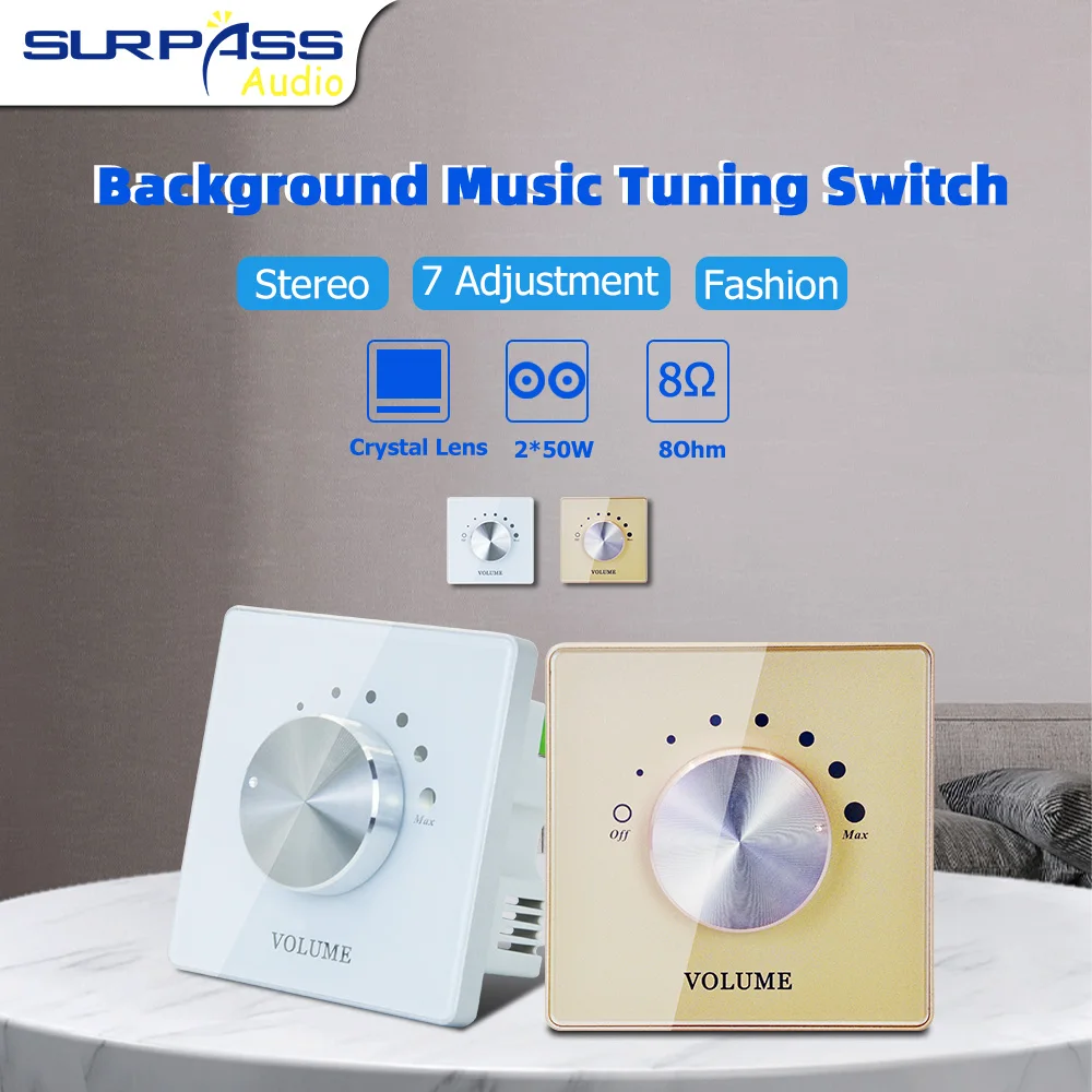 Power Amplifier Volume Tuning  - Audio Music Grading recensione e prezzo