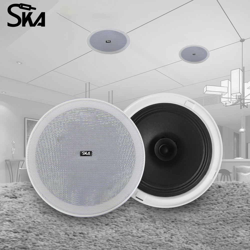 6.5-inch 12W 8Ω Dual cone spea - Audio Music Store recensione e prezzo