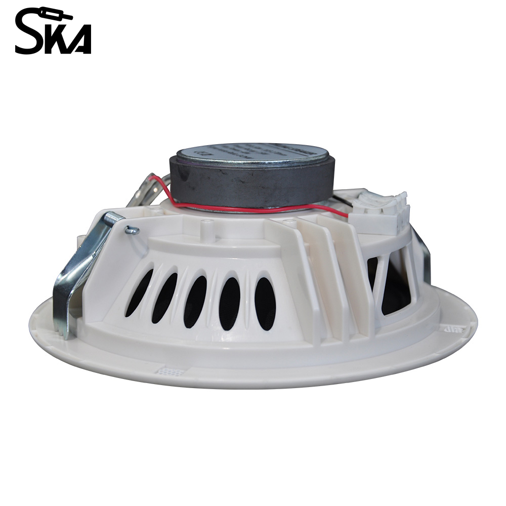 6.5-inch 12W 8Ω Dual cone spea - Audio Music Store recensione e prezzo