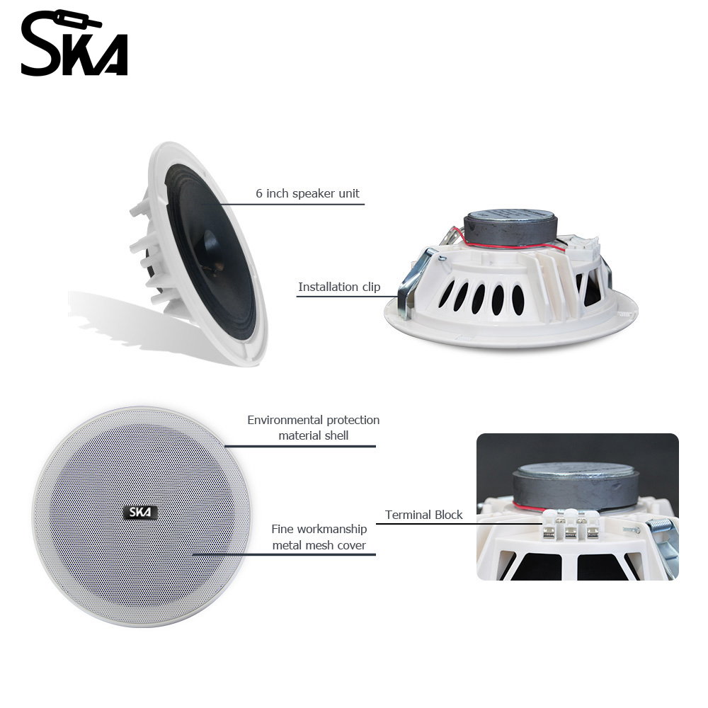 6.5-inch 12W 8Ω Dual cone spea - Audio Music Store recensione e prezzo
