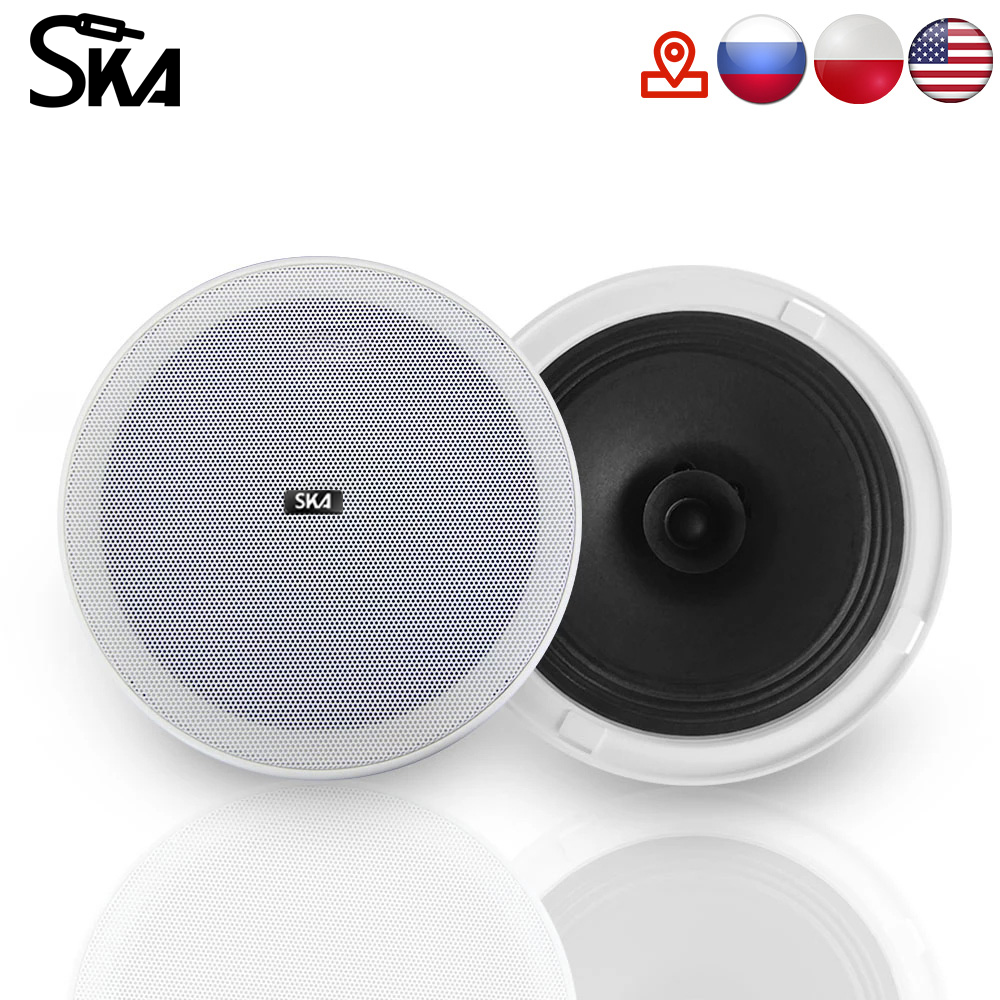 6.5-inch 12W 8Ω Dual cone spea - Audio Music Store recensione e prezzo